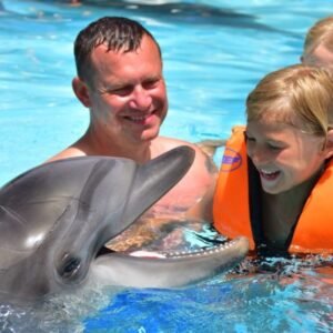 Dolphin Show in Sharm El Sheikh