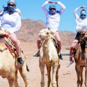 Discovery Dahab 5-in-1 Tour