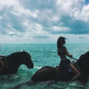 Horseback Riding: Desert or Beach